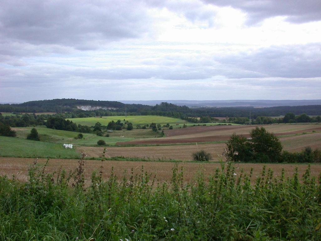 Hotel Muehlenberg Bad Sachsa Bagian luar foto